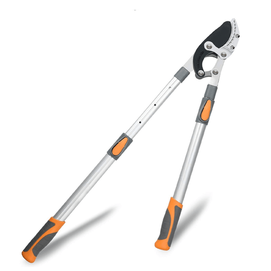 Foarfeca de gradina extensibila