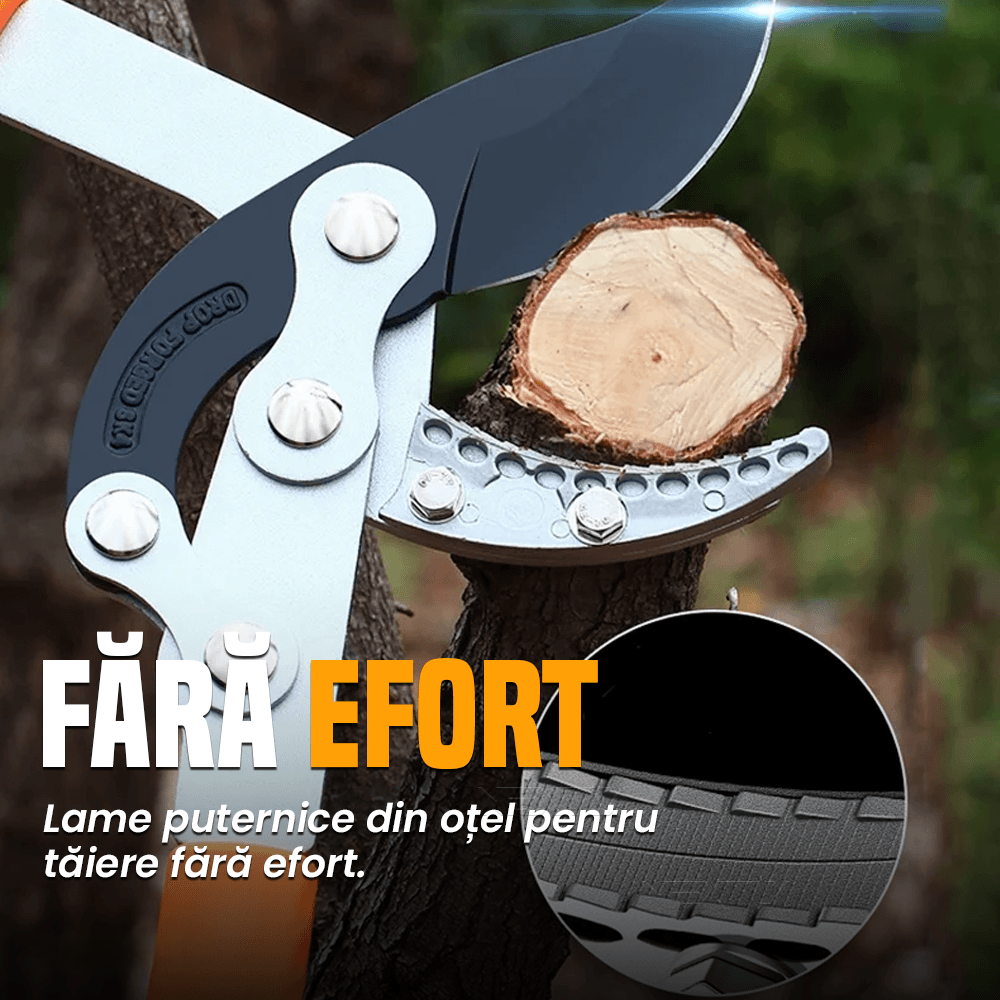 Foarfeca de gradina extensibila